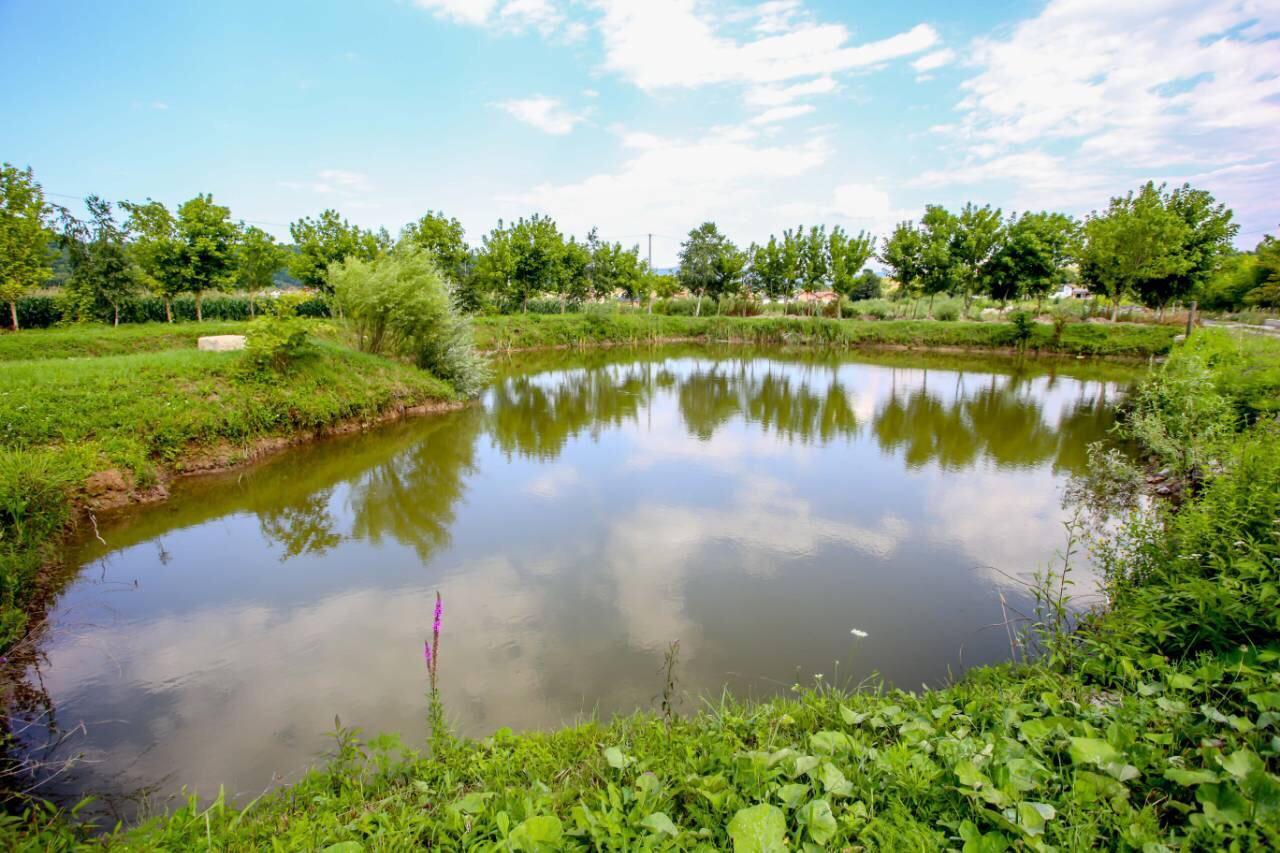Apartments River Una 5 Bihać 外观 照片
